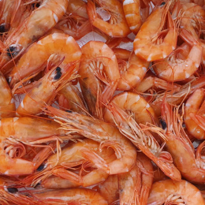 Gamba roja cocida