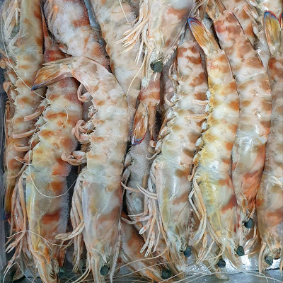 Langostino Tigre cocido