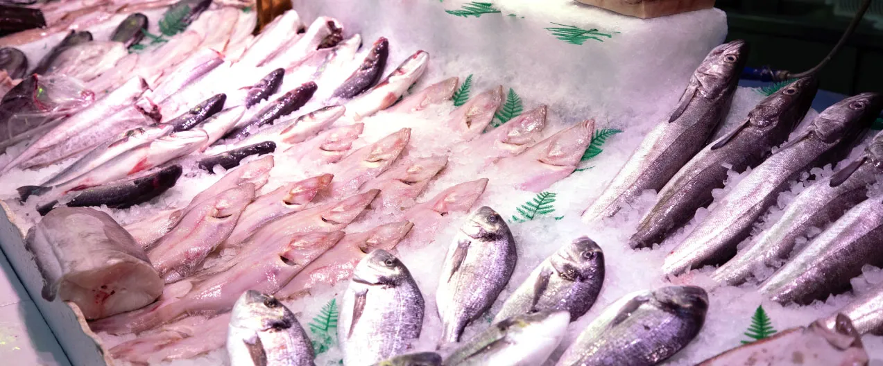 Pescado frescopara hostelería