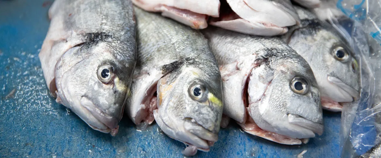 Proveedor de pescado y marisco para hoteles
