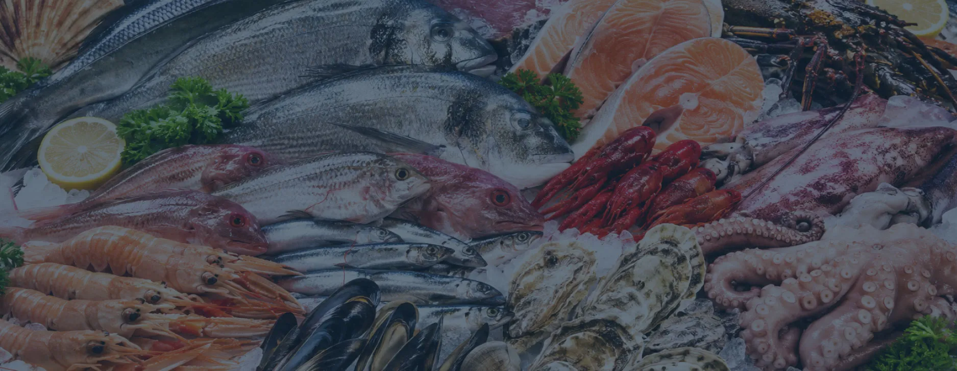 Proveedor de pescado en Madrid para hoteles