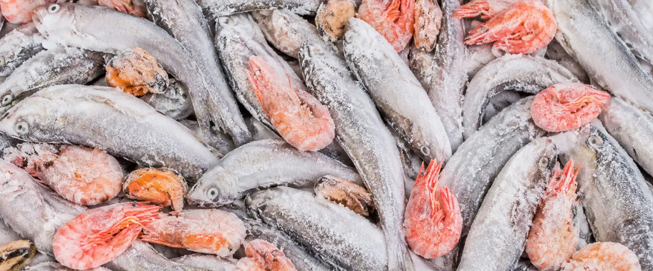 Catálogo de pescados y mariscos congelados para hostelería