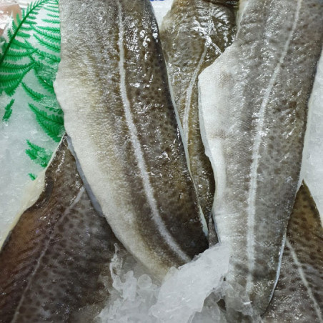 Filetes de bacalao
