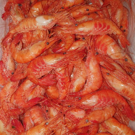 Camarones cocidos