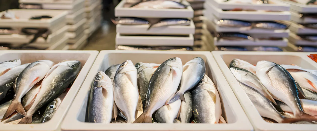 Calidad y trazabilidad del pescado