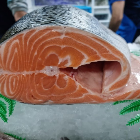 Salmón salvaje fresco