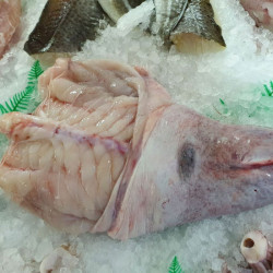 Rape fresco | Comprar rape online | Precio Rape