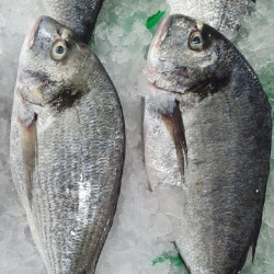 Comprar dorada | Comprar Dorada online | Dorada al horno