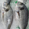 Comprar dorada | Comprar Dorada online | Dorada al horno