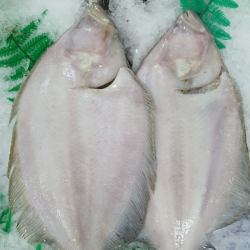 Gallo Filetes | Gallo recetas | Gallo pescado