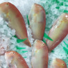 Loritos