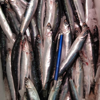 Boquerones | Boquerones en vinagre | Recetas con boquerones