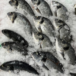 Comprar dorada | Comprar Dorada online | Dorada al horno