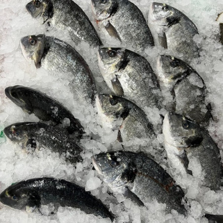 Comprar dorada | Comprar Dorada online | Dorada al horno