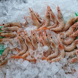 Gamba plancha Fresca