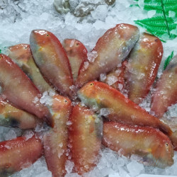 Loritos