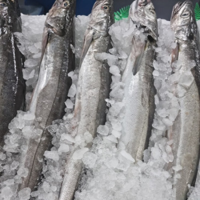 Pescadilla de pincho | Comprar pescadilla | Recetas con pescadilla