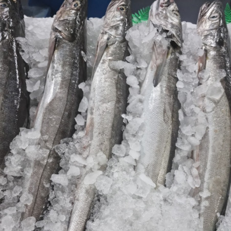 Pescadilla de pincho | Comprar pescadilla | Recetas con pescadilla