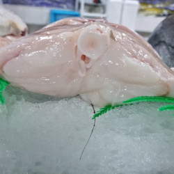 Rape fresco | Comprar rape online | Precio Rape