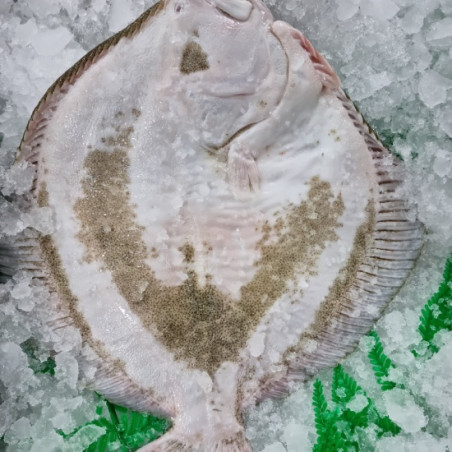 Comprar rodaballo online | Rodaballo al horno | Comprar rodaballo fresco