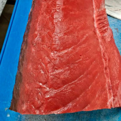 Atún rojo balfegó | Atún balfegó precio | Recetas atún balfegó