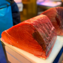 Atún rojo balfegó | Atún balfegó precio | Recetas atún balfegó